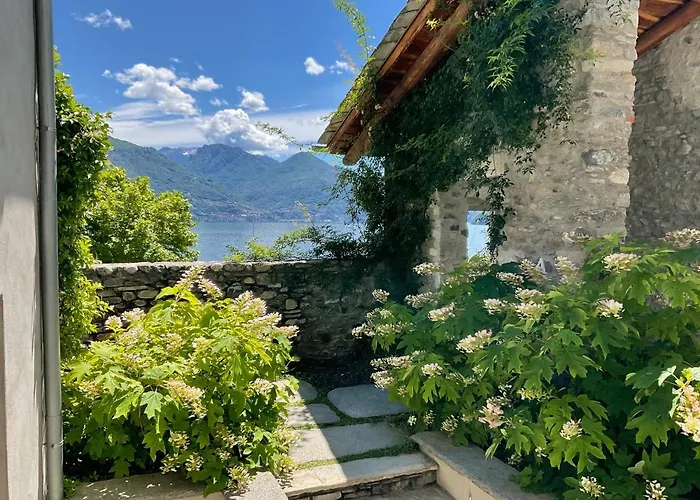 Casa Olea كريميا